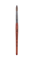 Brush #12