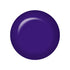 IBD Trio Set - Passport To Purple - 233