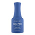 Kiara Sky Gel Pro Polish - HFG072 Race You There!
