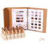 AVANI Nude Cat Eye Gel – Full Collection (Whole 18 Colors)