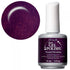 IBD Purple Paradise #56678