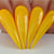 Kiara Sky Gel Polish 587 - Yellow Colors - Sunny Daze